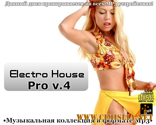 Electro House Pro V.4 [2012 / MP3 / 320 kb]