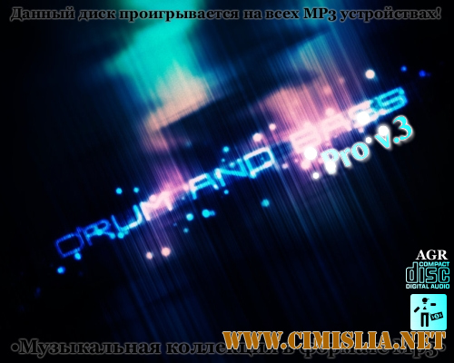 Drum and Bass Pro V.2 [2012 / MP3 / 320 kb]