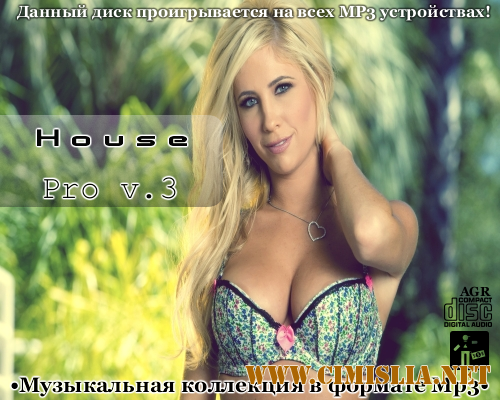 House Pro V.3 [2012 / MP3 / 320 kb]