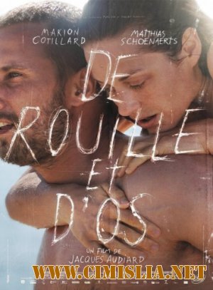 Ржавчина и кость / De rouille et d'os [2012 / HDRip]
