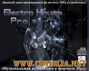 Electro House Pro V.1 [2012 / MP3 / 320 kb]
