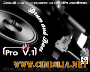 Drum and Bass Pro V.1 [2012 / MP3 / 320 kb]
