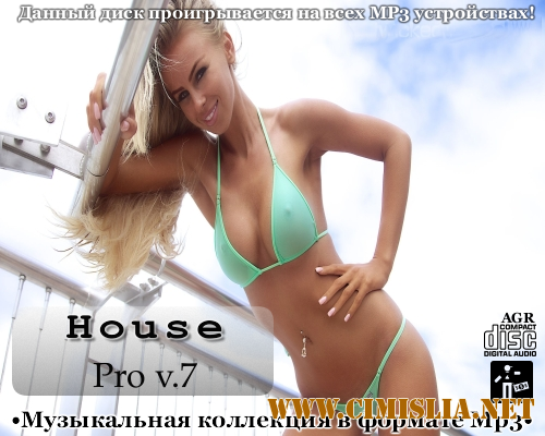 House Pro V.7 [2012 / MP3 / 320 kb]