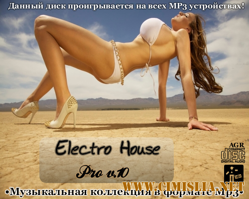 Electro House Pro V.10 [2012 / MP3 / 320 kb]