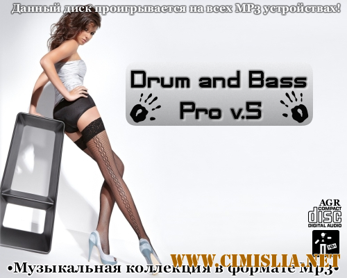 Drum and Bass Pro V.5 [2012 / MP3 / 320 kb]