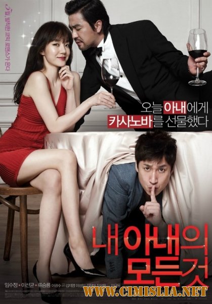 Все о моей жене / Она - моя жена / All about my wife / Nae Anaeui Modeun Geot [2012 / HDRip ]