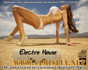 Electro House Pro V.10 [2012 / MP3 / 320 kb]
