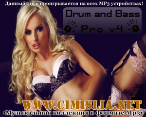Drum and Bass Pro V.4 [2012 / MP3 / 320 kb]