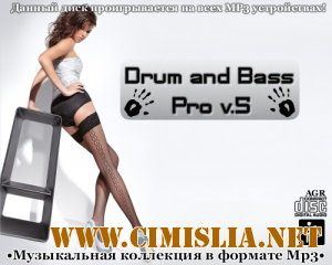 Drum and Bass Pro V.5 [2012 / MP3 / 320 kb]