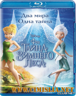 Феи: Тайна зимнего леса / Secret of the Wings [2012 / BDRip | Лицензия]