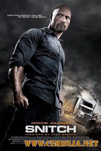 Стукач / Snitch [2013 / HDRip | Лицензия]