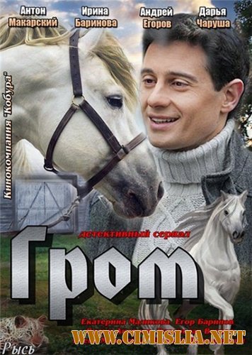 Гром [01-08 из 08] [2013 / SATRip]