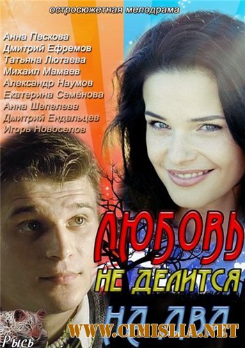Любовь не делится на два [01-04 из 04] [2013 / DVDRip | Лицензия]