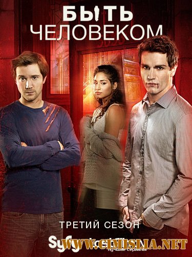 Быть человеком / Being Human [Season 3, Episode 1-13 of 13] [2013 / WEB-DLRip]