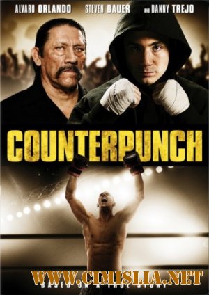 Контрудар / Counterpunch [2013 / WEB-DLRip]
