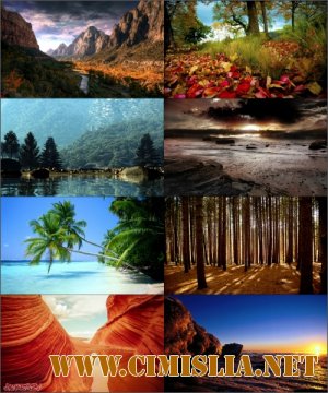 Обои для рабочего стола - Разное [2013]