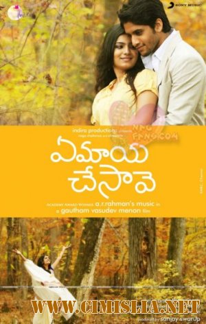 Как ты смогла меня очаровать? / Ye Maaya Chesaave / &#3087; &#3118;&#3134;&#3119; &#3098;&#3128;&#3143;&#3125;&#3149; [2010 / DVDRip]