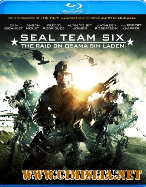 Кодовое имя «Джеронимо» / Seal Team Six: The Raid on Osama Bin Laden [2012 / HDRip | Лицензия]