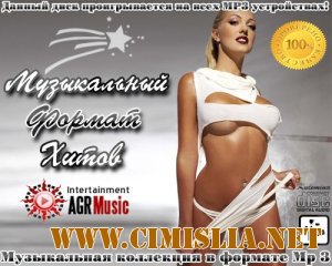 Музыкальный Формат Хитов [2013 / MP3 / 256 kb]