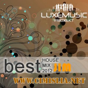 DJ Jim - Best 2012 House Mix [2013 / MP3 / 320 kb]