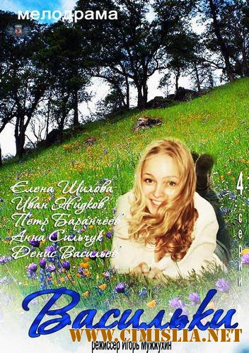 Васильки [01-04 из 04] [2013 / SATRip]