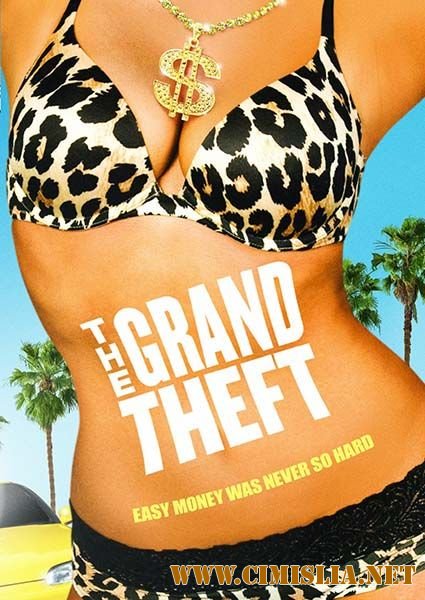 Большая кража / The Grand Theft [2011 / WEB-DLRip]