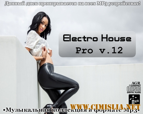 Electro House Pro V.12 [2012 / MP3 / 320 kb]
