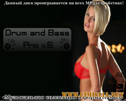 Drum and Bass Pro V.6 [2012 / MP3 / 320 kb]