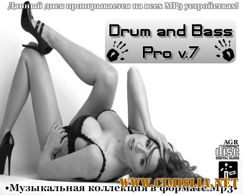 Drum and Bass Pro V.7 [2013 / MP3 / 320 kb]