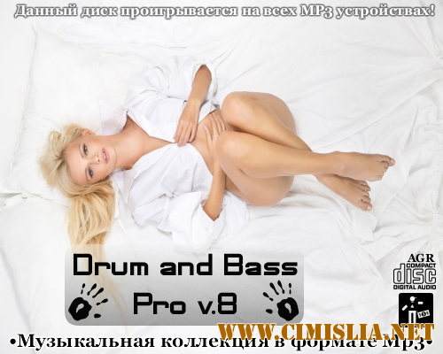 Drum and Bass Pro V.8 [2013 / MP3 / 320 kb]