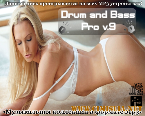 Drum and Bass Pro V.9 [2013 / MP3 / 320 kb]