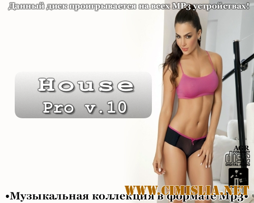 House Pro V.10 [2013 / MP3 / 320 kb]