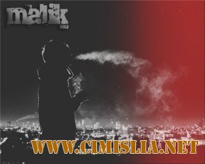 Malik - 2013 [2013 / MP3 / 320 kb]
