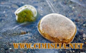 Обои для рабочего стола - Широкоформатные HD Обои [2013]