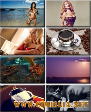 Обои для рабочего стола NO.2  [2013]