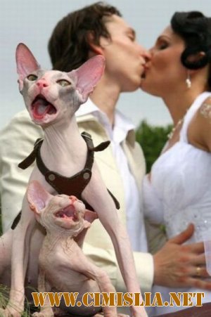 Фотоподборка