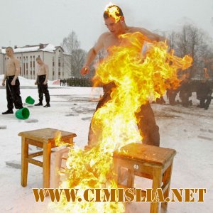 Фотоподборка