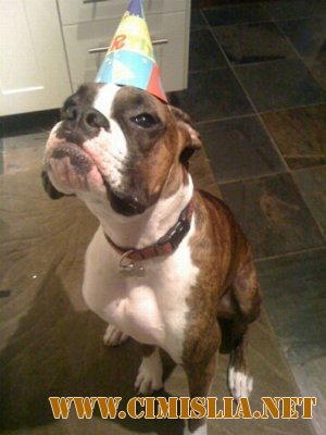 Фотоподборка