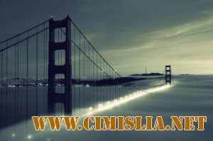 Обои для рабочего стола - Разное [2013]