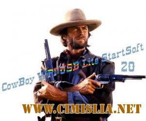 Сборник программ - CowBoy WPI USB Lite StartSoft 20 [2013 / RUS]