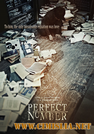 Подозреваемый Икс / Perfect Number [2012 / HDRip]