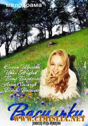 Васильки [01-04 из 04] [2013 / SATRip]