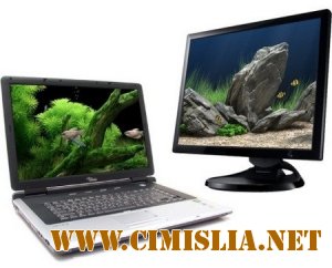 Dream Aquarium Screensaver 1.2592 [RePack] [2013 / ENG / RUS]