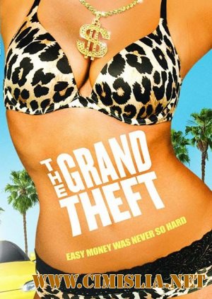 Большая кража / The Grand Theft [2011 / WEB-DLRip]