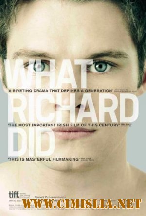 Что сделал Ричард / What Richard Did [2012 / DVDRip]