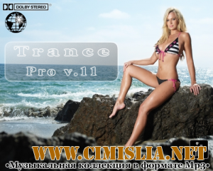 Trance Pro V.11 [2012 / MP3 / 320 kb]
