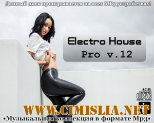 Electro House Pro V.12 [2012 / MP3 / 320 kb]