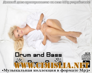 Drum and Bass Pro V.8 [2013 / MP3 / 320 kb]