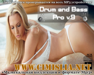Drum and Bass Pro V.9 [2013 / MP3 / 320 kb]