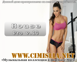 House Pro V.10 [2013 / MP3 / 320 kb]